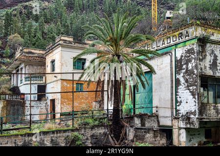 Lost Place Balneario Los Berrazales, Botteleria Agua de Agaete in Valle de Agaete auf Gran Canaria, Kanarische Inseln, Spanien. Stockfoto