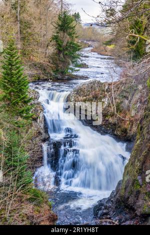 Blick auf den Reekie Linn Wasserfall auf der Isla in der Nähe von Blairgowrie in Perth & Kinross, Schottland, Großbritannien Stockfoto