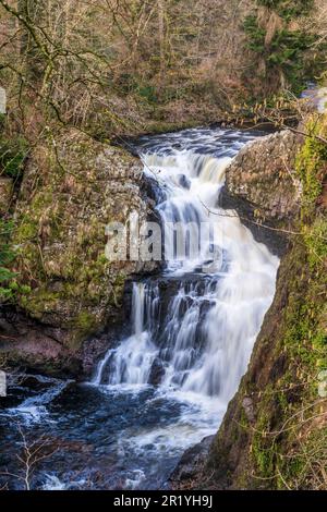 Blick auf den Reekie Linn Wasserfall auf der Isla in der Nähe von Blairgowrie in Perth & Kinross, Schottland, Großbritannien Stockfoto