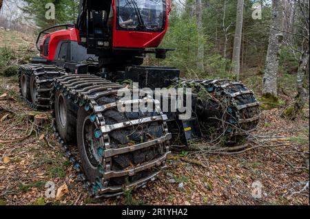 Extreme Geländefahrzeuge für schwere Holzeinschlagsmaschinen. Stockfoto