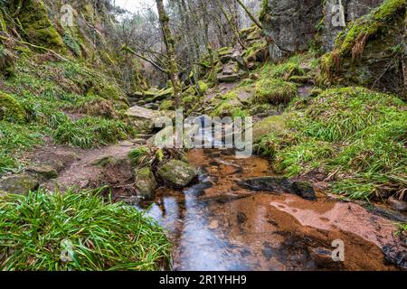 Burn O’ VAT in Muir of Dinnet National Nature Reserve in der Nähe des Dorfes Dinnet in Aberdeenshire, Schottland, Vereinigtes Königreich Stockfoto