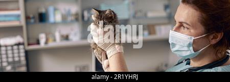 Tierarzt mit medizinischer Maske hält niedliche kleine tabby Kätzchen bei Termin in der Klinik Stockfoto