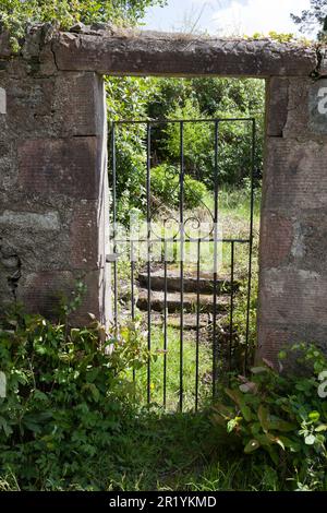 Altes Gartentor durch Steinmauer, überwuchert und zerbröckelt. Stockfoto