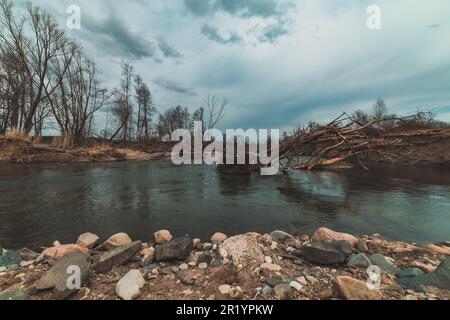 Zerbrochener Baum im Fluss an bewölkten Tagen Stockfoto