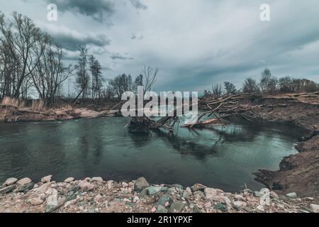 Zerbrochener Baum im Fluss an bewölkten Tagen Stockfoto