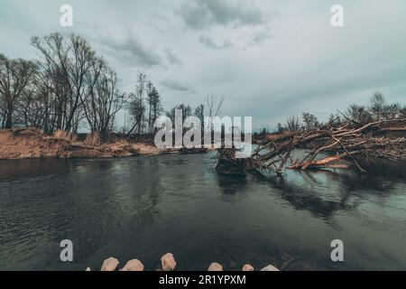 Zerbrochener Baum im Fluss an bewölkten Tagen Stockfoto