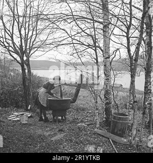 Der Fotograf ist in Ångermanland, genauer gesagt im Dorf Näs außerhalb von Örnsköldsvik. Hier folgt er der Familie Karlsten für ein paar Tage und erstellt ein nostalgisches Zeitdokument für zukünftige Generationen. Frau Anna Karlsten, die sowohl die Hausfrau als auch die Frau und Managerin des Bauern ist. Sie ist Eigentümerin des Familienunternehmens Kornsjö Trävaru ab. Hier ist die Tochter Ebba Karlsten, die im Freien mit dem Färben von Wolle arbeitet, ein Wissen, das bereits 1942 aufgrund der Industrialisierung als fast vergessen galt. Ein einfacher, aber praktischer holzbrennender Wasserkocher erleichtert die Arbeit. In Europa die Stockfoto