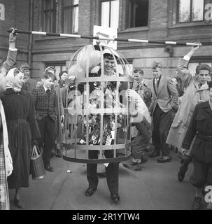 In den 1950er Jahren. Der Abschlusstag, an dem die Prüfungen beendet und die Schule verlassen wird, ist in der Regel ein festlicher Tag mit Familie und Freunden, an dem die Leistungen der Schüler gefeiert werden, indem sie ihn mit Kostümen streicheln und ihm Geschenke und Blumen schenken. Dieser junge Mann wird in einen Käfig gesteckt und auf der Straße vorgeführt. Schweden 1953 Kristoffersson Ref BL79-1 Stockfoto