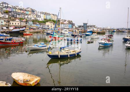 Brixham, Devon im Mai. Kleine Boote im Hafen. Stockfoto