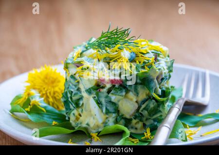 Gesunder Salat aus grünem Lauch, pochiertes Ei, Gurke, Rettich, gekochte Kartoffeln und saure Sahne auf dem Teller, Nahaufnahme. Wilder Knoblauchsalat mit gekochten Eiern Stockfoto