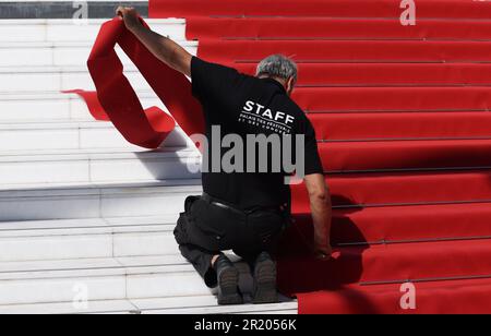 Cannes, Frankreich. 16. Mai 2023. Ein Mitarbeiter installiert den roten Teppich im Palais des Festivals vor der 76. Ausgabe des Filmfestivals in Cannes, Südfrankreich, am 16. Mai 2023. Das Filmfestival findet vom 16. Bis 27. Mai dieses Jahres statt. Kredit: Gao Jing/Xinhua/Alamy Live News Stockfoto