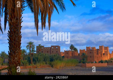 Amerhidil, Amridil, Old Kasbah, Skoura, Ouarzazate Region, Marokko Stockfoto