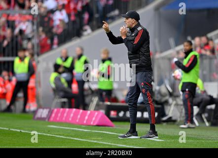 Coach Thomas Tuchel FC Bayern München FCB an der Seitenlinie, Gesten, Allianz Arena, München, Bayern, Deutschland Stockfoto
