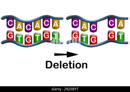 Deletionsmutation, Verlust eines oder mehrerer Nukleotide aus einem DNA-Segment, 3D-Rendering Stockfoto