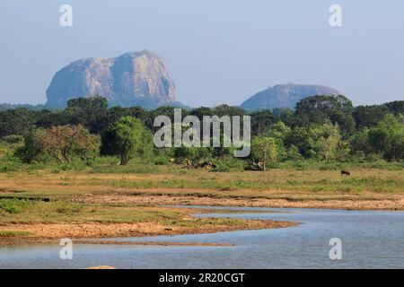 Elephant Rock, Yala-Nationalpark, Sri Lanka Stockfoto