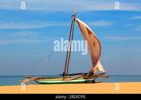 Outrigger-Boot am Strand, Negombo, Sri Lanka Stockfoto