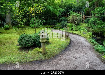 Japanischer Garten im Clingendael Park in Den Haag, Niederlande Stockfoto