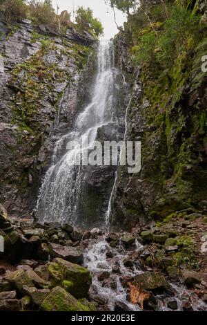 Wasserfall im Wald, Burgbach Wasserfall bei Schapbach, Schwarzwald, Baden-Württemberg, Deutschland Stockfoto