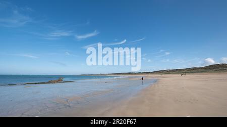 Der Strand von Saint-Georges d'Oléron, Insel Oléron, in Charente-Maritime (Frankreich) Stockfoto