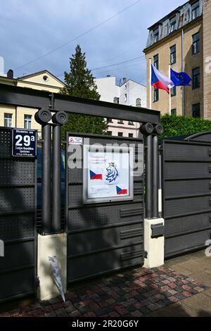 Riga, Lettland. 16. Mai 2023. Die Botschaft der Tschechischen Republik in Riga, Lettland, 16. Mai 2023. Die lettischen Hockeyfans brachten am Vortag Blumen in die Botschaft, als tröstende Geste nach der Niederlage der tschechischen Nationalmannschaft im Hockeyweltmeisterschaftsspiel zwischen der Tschechischen Republik und Lettland. Aufgrund von Regen wurden die Blumen am nächsten Tag gereinigt. Kredit: David Tanecek/CTK Photo/Alamy Live News Stockfoto