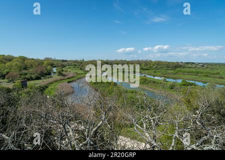 Oleron Island in Charente-Maritime, Frankreich. Blick auf die Sümpfe von Dolus d'Oléron Stockfoto