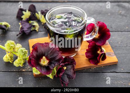 Pflanzliches medizinisches Teegetränk aus Malva sylvestris L. bekannt als Gemeiner Mallow, Käse, hoher Mallow und hoher Mallow. Glasbecher mit Tee auf Schwarz. Stockfoto