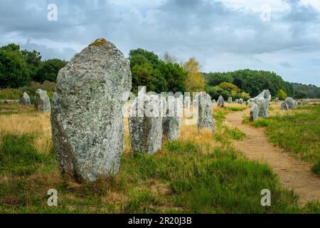 Stehende Steine (oder Menhirs) in der Menec-Ausrichtung in Carnac, Morbihan, Bretagne, Frankreich Stockfoto