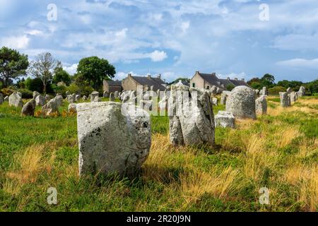 Stehende Steine (oder Menhirs) in der Menec-Ausrichtung in Carnac, Morbihan, Bretagne, Frankreich Stockfoto