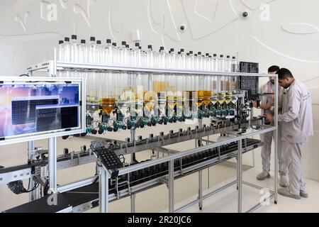 Museum der Zukunft, Dubai Stockfoto