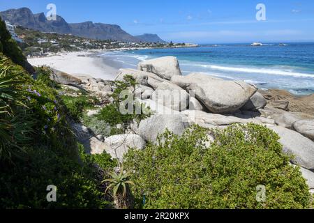 Blick auf den Strand von Clifton in der Nähe von Kapstadt in Südafrika Stockfoto