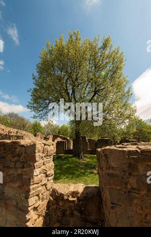 Das Jakab-Hügel-Kloster Palos im Meksek-Gebirge Ungarns. Herrliche barocke architektonische Ruinen in der Nähe des Dorfes Kovagoszolos in Baranya County. T Stockfoto