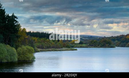 Malerischer, ländlicher Sonnenuntergang über ruhigem Wasser (Waldplantage, Herbstschatten, bewölkte und rollende Wolken) - Fewston Reservoir, North Yorkshire England. Stockfoto