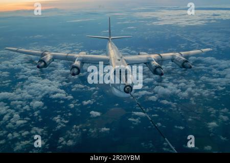 Tupolev TU-95 (Russisch: Туполев Ту-95; NATO-Berichtsname: 'Bär') ist eine große, viermotorige Turboprop-betriebene strategische Bomber- und Raketenplattform. Stockfoto