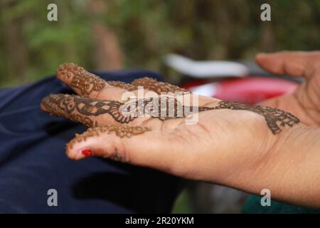 Indisches Teenager-Mädchen, das Heena Tatoo auf die Hand einer Frau aufträgt Stockfoto