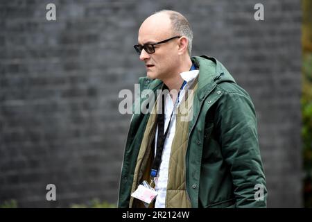 Foto von Dominic Cummings, Chief Special Adviser von Premierminister Boris Johnson, Ankunft in Downing Street 10, London. Stockfoto