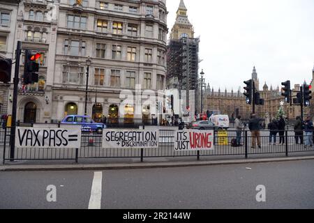 Anti-Vaxxers außerhalb des britischen Parlaments in London inmitten der COVID-19-Coronavirus-Pandemie. November 2021. Stockfoto