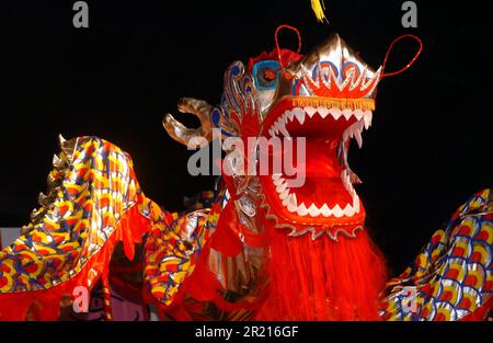 Chinesisches Neujahr - Jahr des Schweins, Feierlichkeiten in London. Drachentanzvorführungen auf der Bühne am Trafalgar Square Stockfoto