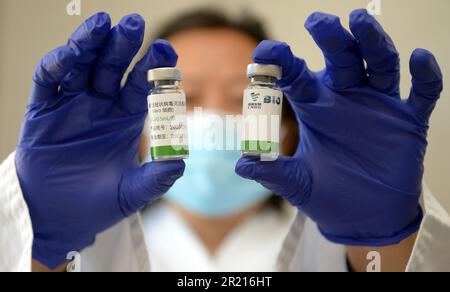 BBIBP-CorV, einer von zwei inaktivierten Virus-COVID-19-Impfstoffen, die von der China National Pharmaceutical Group Corporation (CNPGC) entwickelt wurden und gemeinhin als Sinopharm, ein staatseigenes chinesisches Unternehmen, bezeichnet werden. SARS-COV2, 2019-nCoV oder COVID-19 ist ein ansteckendes Virus, das Atemwegsinfektionen verursacht. Stockfoto