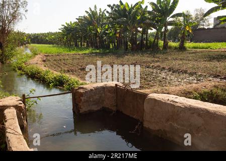 Bewässerungskanäle und Kanäle, die Wasser aus dem Nil zur Versorgung von Pflanzen und wasserintensiven Pflanzen mit Bananen auf einem Bauernhof in Oberägypten bringen. Stockfoto