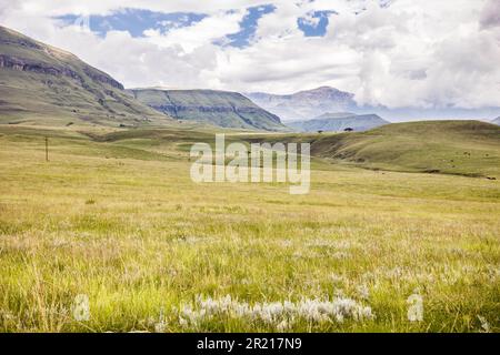 Eine wunderschöne Landschaft eines Grasfeldes am Fuße des Drakensbergs mit bewölktem Himmel Stockfoto