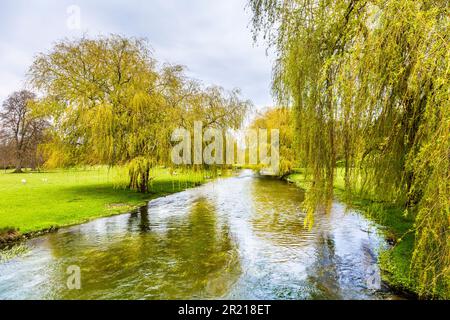 Great Stour River durch Godmersham Park, Kent Downs, Kent, England, Großbritannien Stockfoto