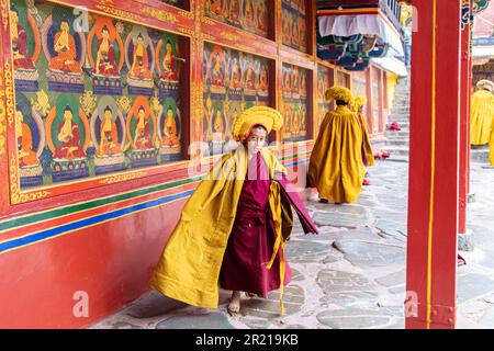 Mönche im buddhistischen Kloster in Tibet, 8-2019 Stockfoto