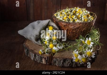 Schüssel mit gerupften Gänseblümchen und ein paar Gänseblümchen Stockfoto