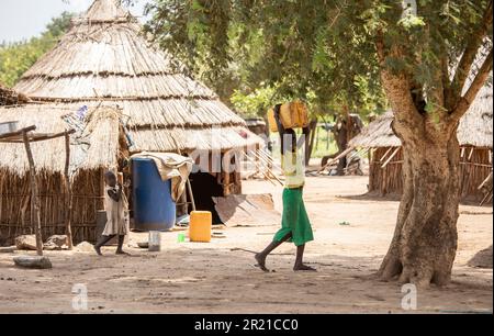 Torit, Südsudan - 18. August 2021: Nicht identifizierte Kinder transportieren Wasser und machen Hausarbeiten in einem Dorf im ländlichen Südsudan. Stockfoto