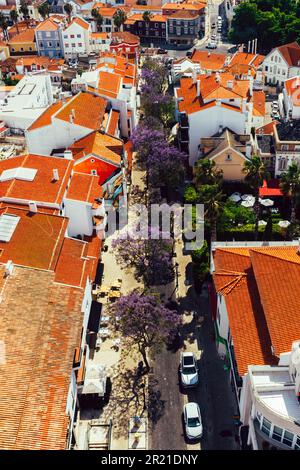 Luftaufnahme einer Straße in Cascais, Portugal, mit lila Jacaranda-Blättern im Frühling Stockfoto