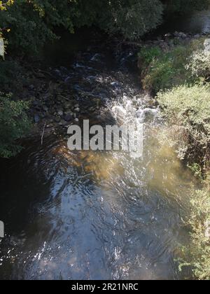 Naturpark Strandzha (Provinz Burgas, Republik Bulgarien) Stockfoto