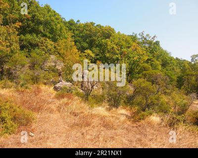 Naturpark Strandzha (Provinz Burgas, Republik Bulgarien) Stockfoto