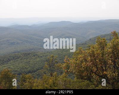 Naturpark Strandzha (Provinz Burgas, Republik Bulgarien) Stockfoto