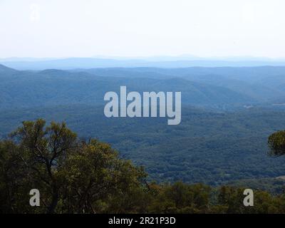 Naturpark Strandzha (Provinz Burgas, Republik Bulgarien) Stockfoto