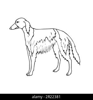 Vektorhandgezeichneter Doodle-Sketch russischer Borzoi-Hund isoliert auf weißem Hintergrund Stock Vektor
